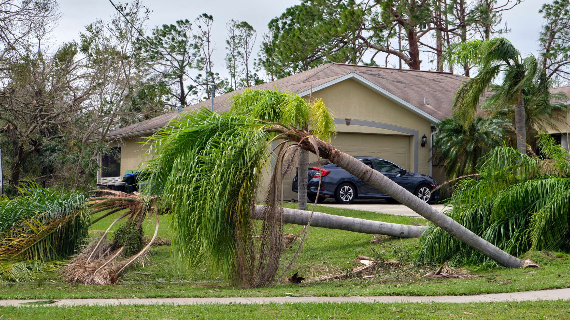 4 Safety Tips for Cleaning Up After a Hurricane