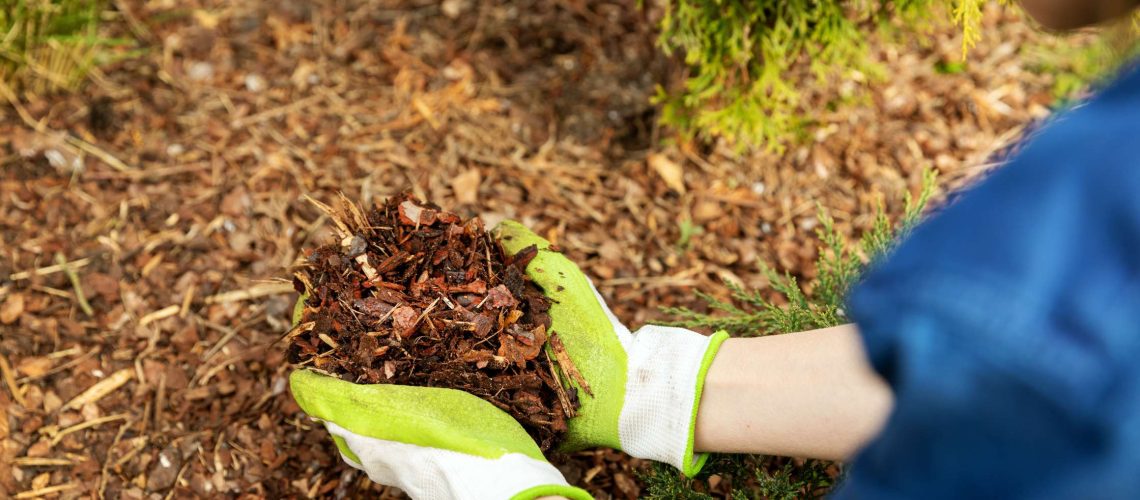 Everything You Need To Know About Gardening Mulch