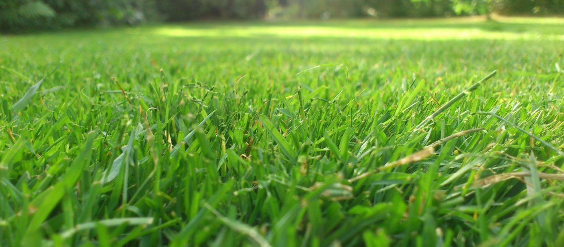 Integrated Pest Management 101