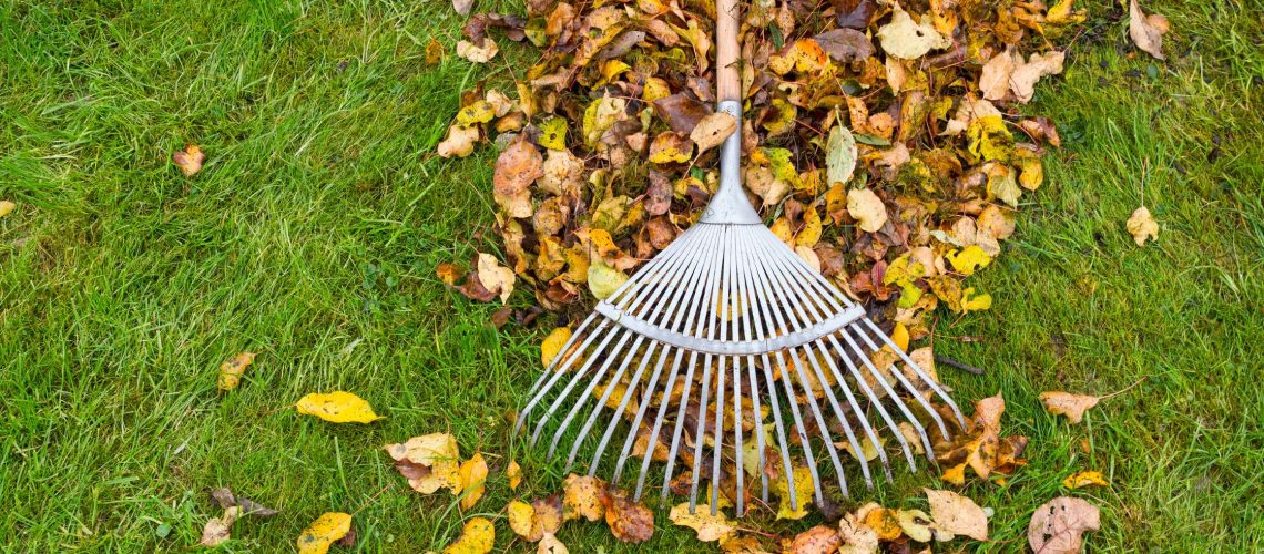 The Basics of Fall Yard Cleanup